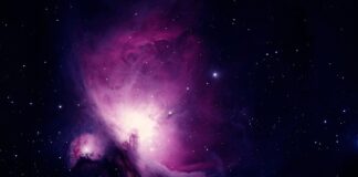 Od czego zacząć naukę liter?