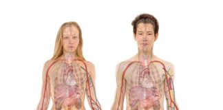 Jakie objawy są jak nerki chore?