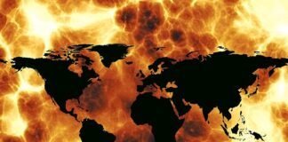 Czym zajmuje się Komitet Praw Dziecka i Unicef?