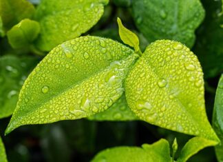 Jak sprawdzić czy w domu jest wilgoć?