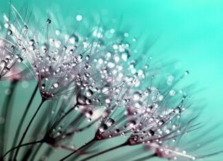 Jak pozbyć się kropelki z palców?