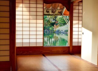 Czy jedna nerka to niepełnosprawność?