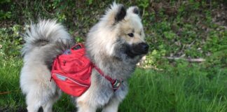 Jakie nosidełko dla niemowlaka polecacie?