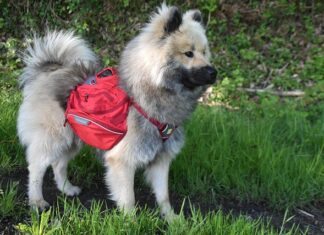 Jakie nosidełko dla 4 miesięcznego niemowlaka?