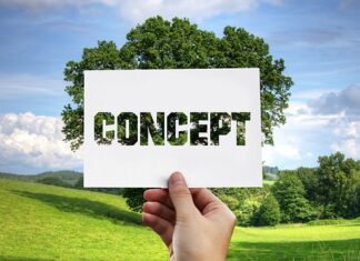 Na czym polega metoda Cudowne dziecko?