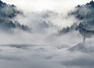 Czy mróz wyciąga wilgoć?