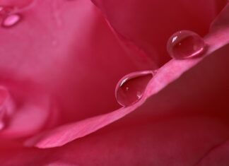 Co daje duża wilgotność powietrza?