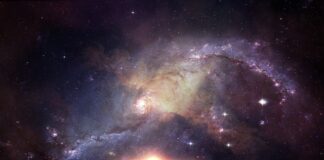 Dlaczego Światowy Dzień Pluszowego Misia obchodzimy 25 listopada?