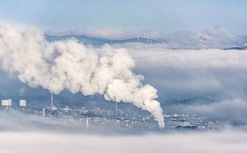Do czego służy transmisyjny mikroskop elektronowy?