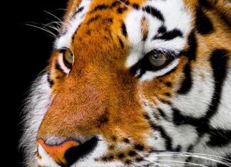 Czym płukać nos dziecka?