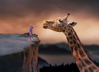 Jak długo można żyć z jedną nerka?