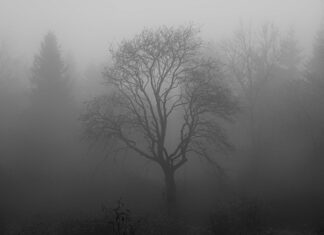 Co na rozrzedzenie wydzieliny z zatok?